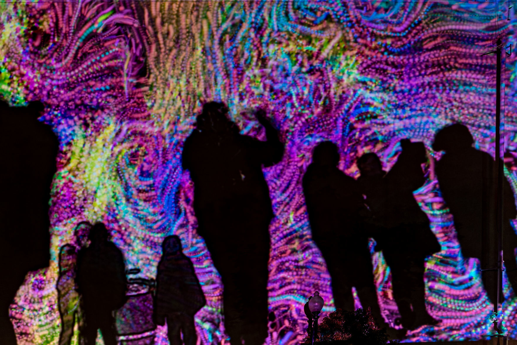 Napa Lighted Art Festival 2020